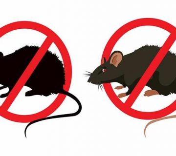 مكافحة القوارض 3 مبيدات القوارض